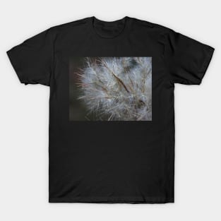 Soft field sunset T-Shirt